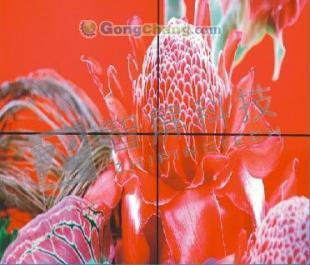 南京、無(wú)錫、鎮(zhèn)江地區(qū)液晶拼接屏市場(chǎng)熱銷分析及廠家推薦